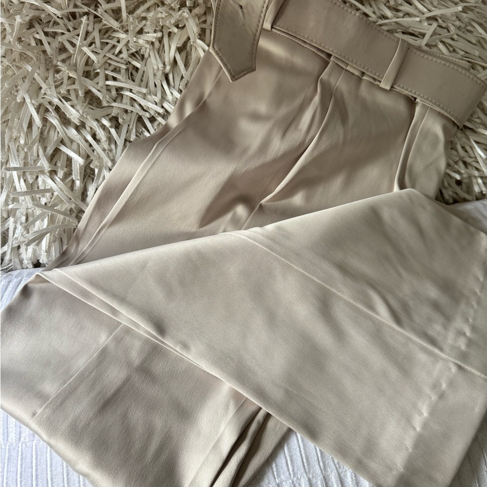 Dressi pant , zattin beautiful 😍 brand Cache Luxe